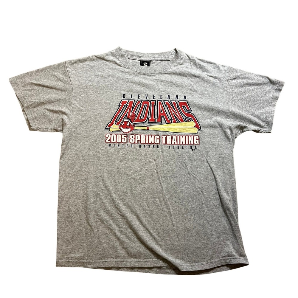 Vintage Cleveland Indians 2005 Spring Training T-Shirt Gray Mens L MLB Blokecore